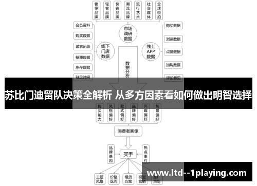 苏比门迪留队决策全解析 从多方因素看如何做出明智选择 苏比门迪留队决策全解析 从多方因素看如何做出明智选择