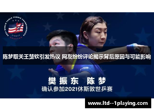 陈梦取关王楚钦引发热议 网友纷纷评论揭示背后原因与可能影响