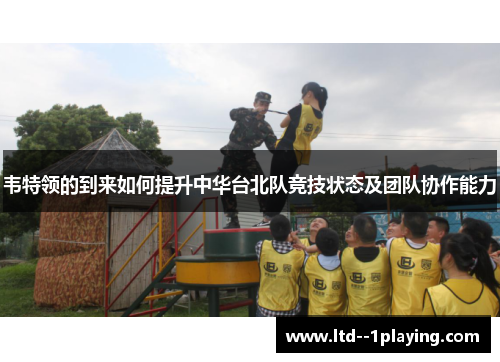 韦特领的到来如何提升中华台北队竞技状态及团队协作能力